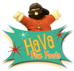 Fun Hava Facts